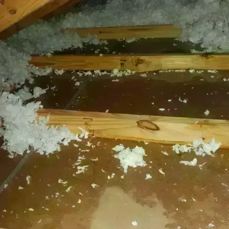 Attic Water Damage in Jacksboro, TN